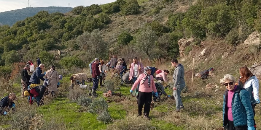 BORNOVA BELEDİYESİ'NDEN ARICILARA DESTEK