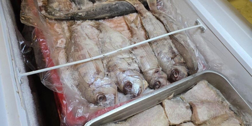 İZMİR'DE 3 TON KOKMUŞ BALIK VE ET ÜRÜNÜ ELE GEÇİRİLDİ