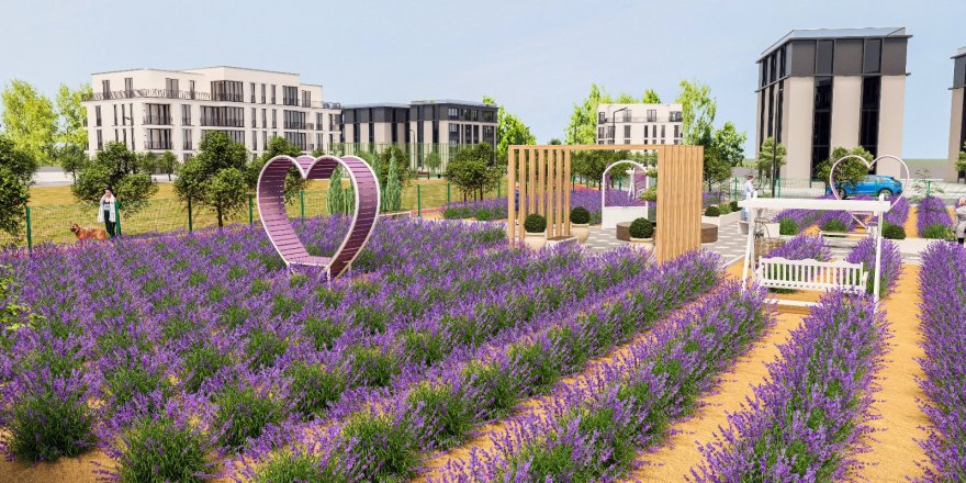 KEMALPAŞA LAVANTA KOKACAK