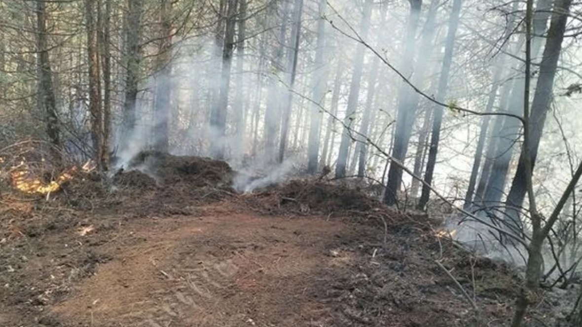 Aydın'da Korkutan Orman Yangını