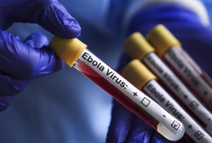 Dünya Kupası öncesi ebola paniği