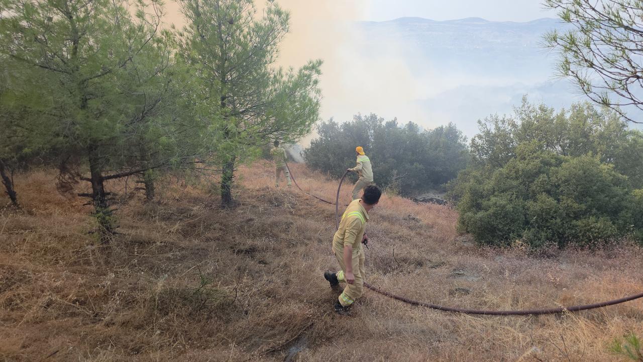 Manisa'da çıkan orman yangınında son durum