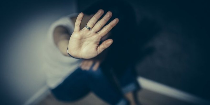 HAYVANSEVER KADIN 'KADIN' VETERİNE DÖVDÜ