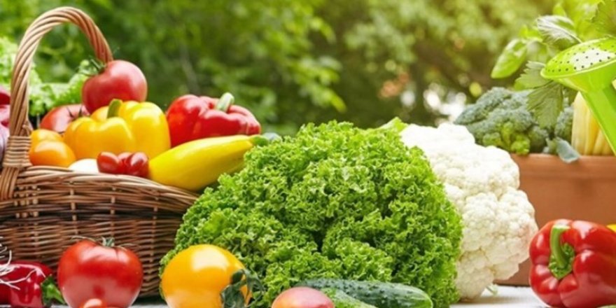 ORGANİK TARIM SEKTÖRÜNDE BÜYÜK GÜÇBİRLİĞİ