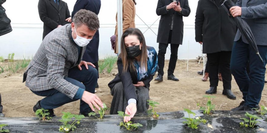 CHP GENEL BAŞKANI KILIÇDAROĞLU'NUN TARIM POLİTİKALARI DANIŞMANI SARIBAL SELÇUK'TA