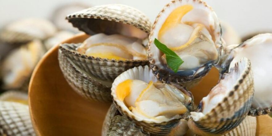 İZMİR'DE AKİVADES OPERASYONU