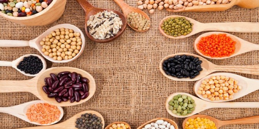 LAS VEGAS'TA TÜRK BAKLİYATI TANITILDI