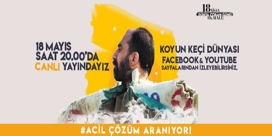 ÇOBANLAR İZMİR'DE CANLI YAYINDA BULUŞUYOR