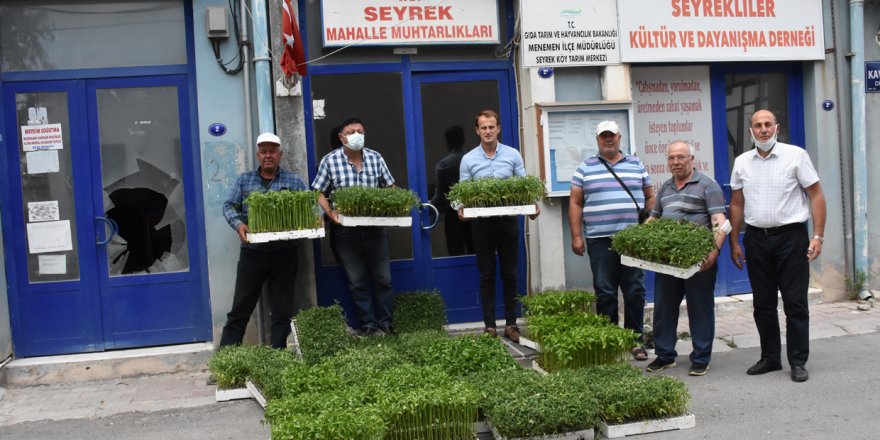 MENEMEN BELEDİYESİ VATANDAŞA 200 BİN FİDAN DAĞITTI...HEPSİ YERLİ TOHUM..