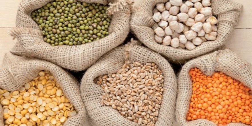 HUBUBAT İHRACATI REKOR KIRDI..HEDEF 10 MİLYAR DOLAR