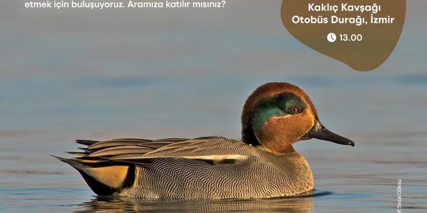 İZMİRLİLER UNESCO ADAYI GEDİZ DELTASI'NDA BULUŞUYOR