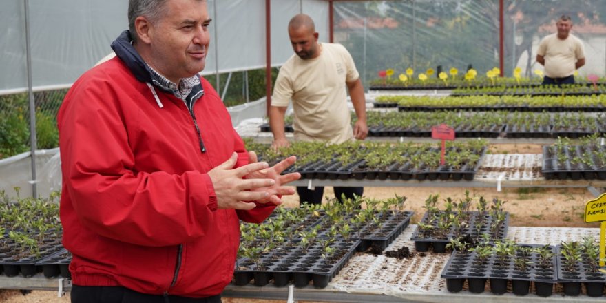 ÇEŞME'DE SAKIZ, KARAKILÇIK, ENGİNAR TOHUMLARI DAĞITILDI