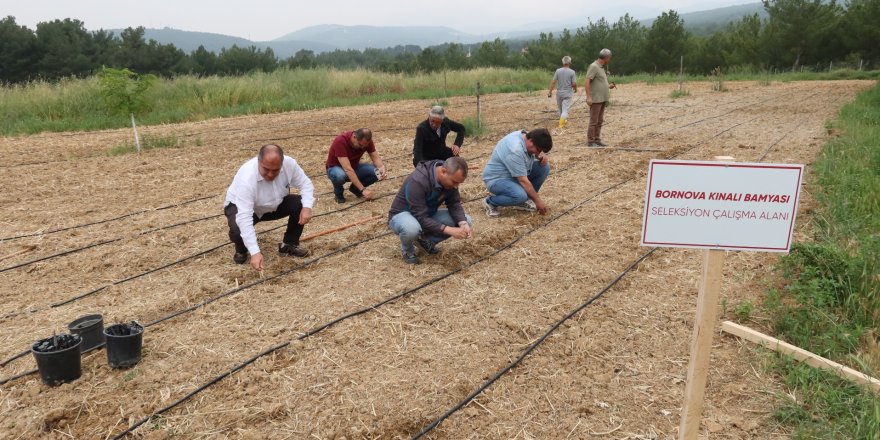 BORNOVA KINALI BAMYASI'NA KORUMA KALKANI