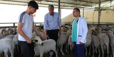 KARŞIYAKA BAYRAMA HAZIR