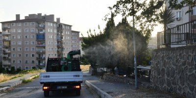 ÇİĞLİ'DE SİVRİSİNEK SAVAŞLARI