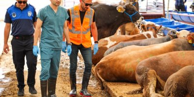 BUCA'DA KURBAN YERLERİNDE SIKI DENETİM