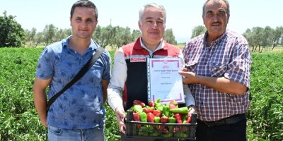 İZMİR'İN 120 YILLIK LEZZETİ. 'ARSLANLAR BİBERİ'