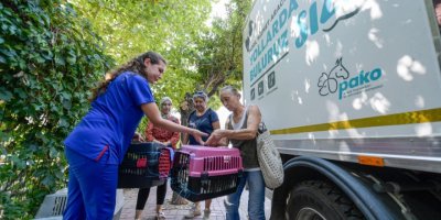 İZMİR BÜYÜKŞEHİR'DEN SOKAK HAYVANLARINA KISIRLAŞTIRMA SEFERBERLİĞİ