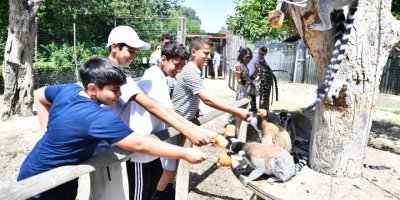 DOĞAL YAŞAM PARKI SAKİNLERİ İZMİRLİ ÇOCUKLARI BEKLİYOR
