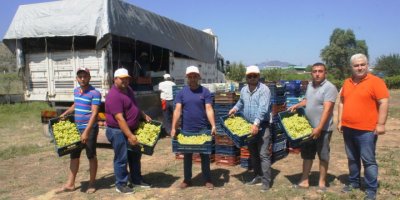 DİYABET HASTALARININ ÜZÜMÜ SUPERİOR ÜZÜMÜ SOFRALARDA