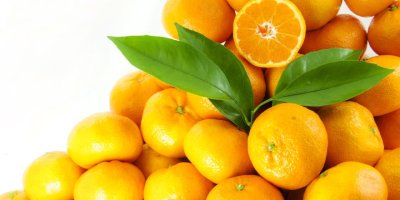 EGE'DEN DÜNYAYA...SATSUMA MANDALİNANIN İHRACAT YOLCULUĞU BAŞLIYOR