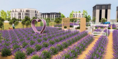 KEMALPAŞA LAVANTA KOKACAK