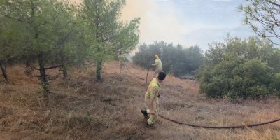 Manisa'da çıkan orman yangınında son durum