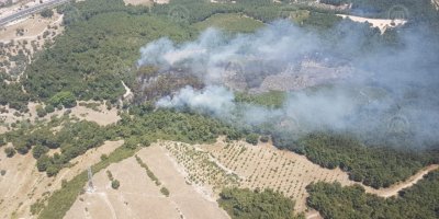 İZMİR'DE YİNE ORMAN YANGINI YİNE KONUT SAHALARI YAKINI