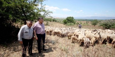 CHP İZMİR MİLLETVEKİLİ SINDIR VEBA SALGININI MECLİS'E TAŞIDI