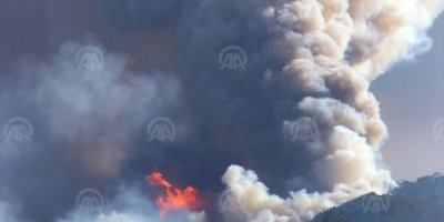 İZMİR'DE DURUM BU.. PAKDEMİRLİ:'AĞACI SEVMEKTE BİRİNCİ DEĞİLİZ'