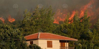 EYVAH EYVAH...YANGIN KONUTLARA İLERLİYOR..HAYVANLAR YANDI