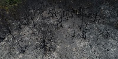 İzmir'deki orman yangınının nedeni araştırılıyor