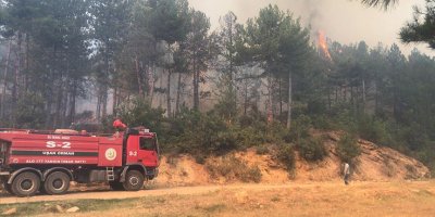 Uşak'ta Orman Yangını