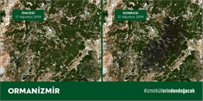 BÜYÜKŞEHİR AÇIKLADI: İZMİR'DE YANAN ORMAN ALANI KARŞIYAKA KADAR