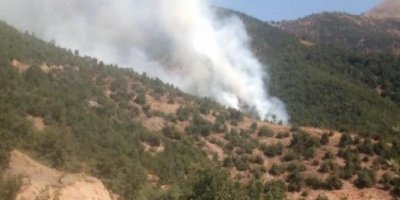 Kirazlı'daki orman yangını kontrol altına alındı