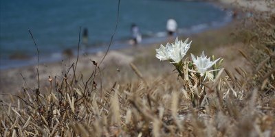 Koparana 60 bin lira ceza