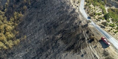 İzmir'deki orman yangınının nedeni araştırılıyor