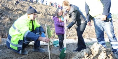 BALÇOVA'DA HER ÇOCUĞUN BİR AĞACI OLACAK