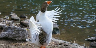 FOTOĞRAFLAR İZMİR'DEN..YURTTA KIŞ İZMİR'DE SONBAHAR