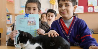 SOKAK KEDİSİ 'HÜSNÜ'DE KARNESİNİ ALDI