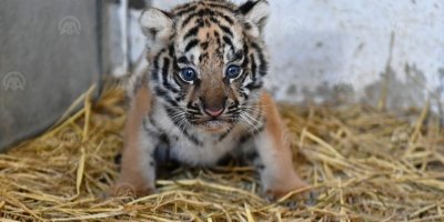 DOĞUM YERİ İZMİR...KARDEŞİ DE VAR...