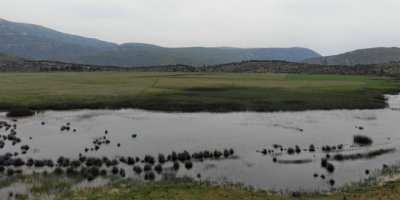 SAHİBİ KUŞLAR OLDU..KARABURUN'DAKİ İRİS GÖLÜ HAYAT BULDU