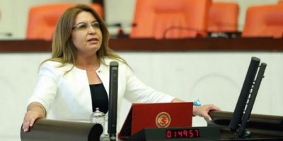 CHP DOĞA HAKLARI’NDAN ACİL EYLEM PLANI ÇAĞRISI