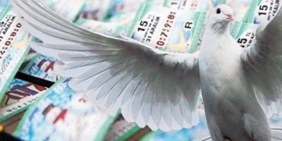 TALİH KUŞU KONAK MEYDANI'NDA EYLEM YAPACAK