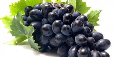 ÜRETİCİ İLE İHRACATÇININ 'ÜZÜM' ZAFERİ...TÜRK ÜZÜMÜ ZİRVE YAPTI