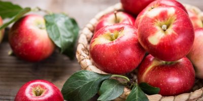 TÜRK KİRAZINDAN SONRA TÜRK ELMASINA UZAKDOĞU VİZESİ