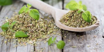 KEKİK ÜRETİMİNDEN 150 MİLYON DOLAR KAZANACAĞIZ