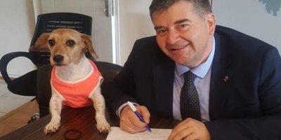 KARŞIYAKA'DAN SONRA ÇEŞME BELEDİYESİ..ROMAN VATANDAŞA YAŞAM HAKKI YOK MU?.