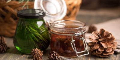 DÜNYAYA ÇAM BALINI TÜRKİYE YEDİRİYOR