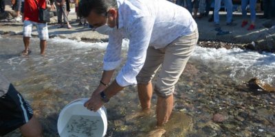 DİKİLİ BELEDİYESİ DENİZE 10 BİN YAVRU BALIK BAĞIŞLADI